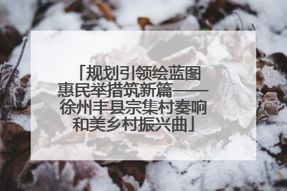 规划引领绘蓝图 惠民举措筑新篇——徐州丰县宗集村奏响和美乡村振兴曲