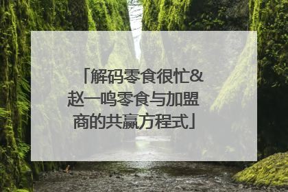 解码零食很忙&赵一鸣零食与加盟商的共赢方程式
