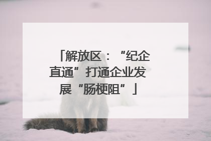 解放区：“纪企直通”打通企业发展“肠梗阻”
