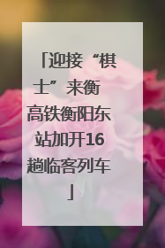 迎接“棋士”来衡 高铁衡阳东站加开16趟临客列车