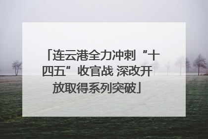 连云港全力冲刺“十四五”收官战 深改开放取得系列突破
