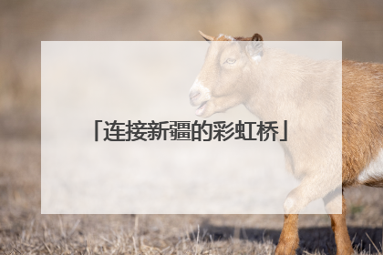 连接新疆的彩虹桥