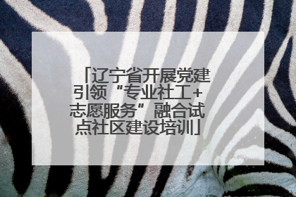 辽宁省开展党建引领“专业社工+志愿服务”融合试点社区建设培训