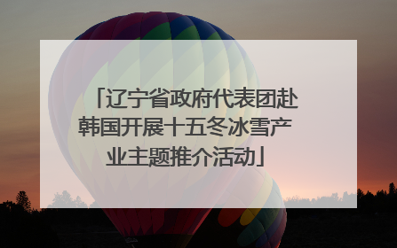 辽宁省政府代表团赴韩国开展十五冬冰雪产业主题推介活动