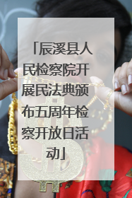 辰溪县人民检察院开展民法典颁布五周年检察开放日活动