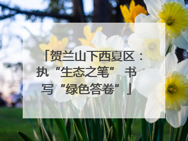 贺兰山下西夏区：执“生态之笔” 书写“绿色答卷”