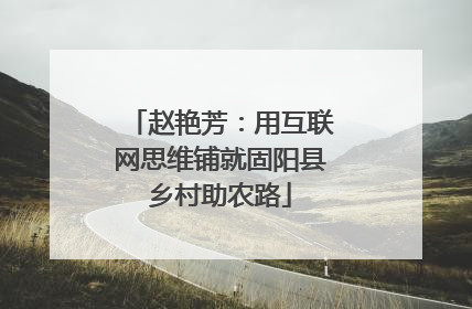 赵艳芳：用互联网思维铺就固阳县乡村助农路