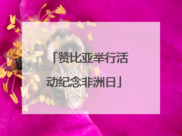 赞比亚举行活动纪念非洲日