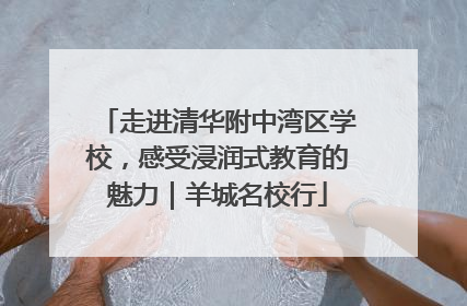 走进清华附中湾区学校，感受浸润式教育的魅力｜羊城名校行