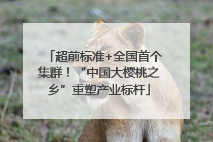 超前标准+全国首个集群！“中国大樱桃之乡”重塑产业标杆