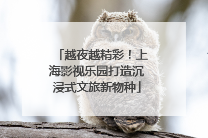 越夜越精彩！上海影视乐园打造沉浸式文旅新物种