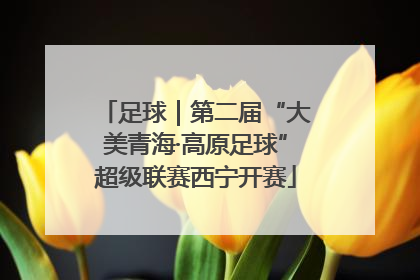 足球｜第二届“大美青海·高原足球”超级联赛西宁开赛