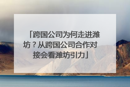 跨国公司为何走进潍坊？从跨国公司合作对接会看潍坊引力