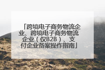 跨境电子商务物流企业、跨境电子商务物流企业（仅B2B）、支付企业备案操作指南