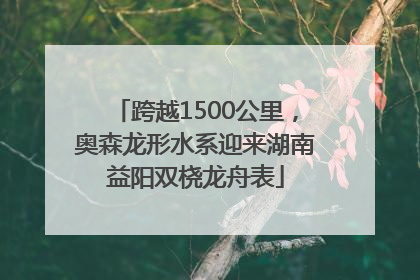 跨越1500公里，奥森龙形水系迎来湖南益阳双桡龙舟表