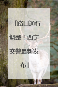路口通行调整！西宁交警最新发布