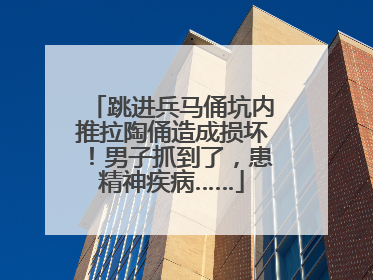 跳进兵马俑坑内推拉陶俑造成损坏！男子抓到了，患精神疾病……