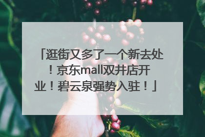 逛街又多了一个新去处！京东mall双井店开业！碧云泉强势入驻！