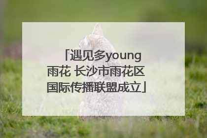 遇见多young雨花 长沙市雨花区国际传播联盟成立
