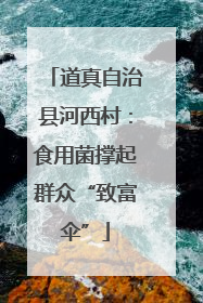 道真自治县河西村：食用菌撑起群众“致富伞”