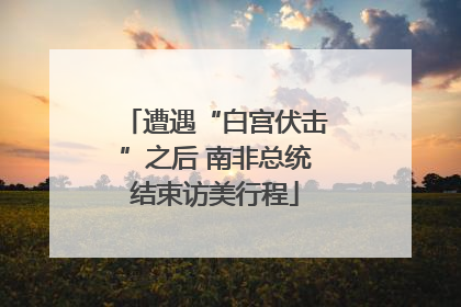 遭遇“白宫伏击”之后 南非总统结束访美行程