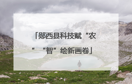郧西县科技赋“农”“智”绘新画卷