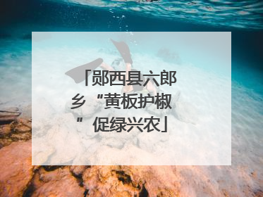 郧西县六郎乡“黄板护椒”促绿兴农
