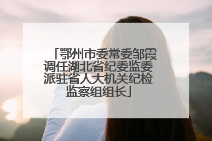 鄂州市委常委邹霞调任湖北省纪委监委派驻省人大机关纪检监察组组长