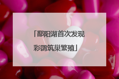 鄱阳湖首次发现彩鹮筑巢繁殖