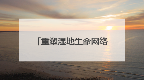重塑湿地生命网络 赋能乡村“颜值”“产值”双提升