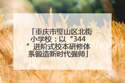 重庆市璧山区北街小学校：以“344”进阶式校本研修体系锻造新时代强师