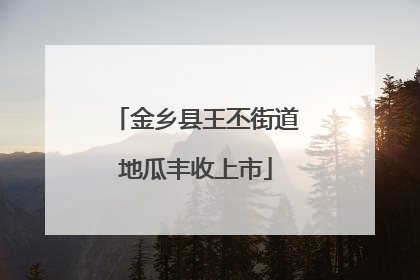 金乡县王丕街道地瓜丰收上市