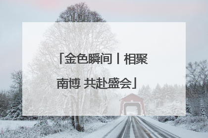 金色瞬间丨相聚南博 共赴盛会