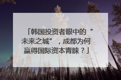 韩国投资者眼中的“未来之城”，成都为何赢得国际资本青睐？