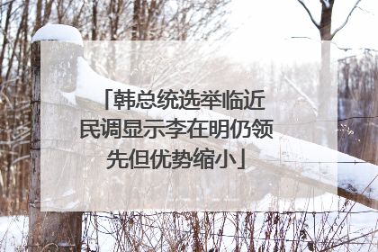 韩总统选举临近 民调显示李在明仍领先但优势缩小