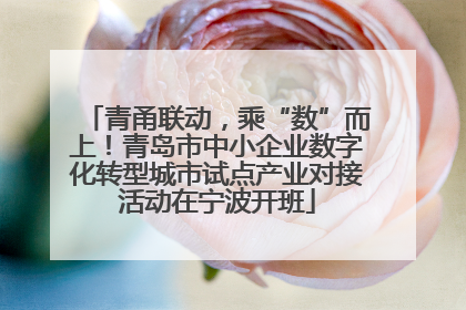 青甬联动，乘“数”而上！青岛市中小企业数字化转型城市试点产业对接活动在宁波开班
