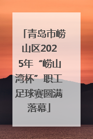 青岛市崂山区2025年“崂山湾杯”职工足球赛圆满落幕