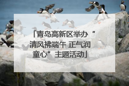 青岛高新区举办“清风拂端午 正气润童心”主题活动