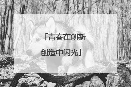 青春在创新创造中闪光