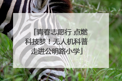 青春志愿行 点燃科技梦！无人机科普走进公明路小学