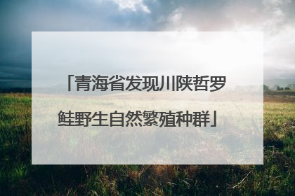 青海省发现川陕哲罗鲑野生自然繁殖种群