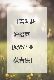 青海赴沪招商 优势产业获青睐