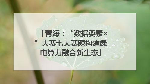 青海：“数据要素×”大赛七大赛题构建绿电算力融合新生态
