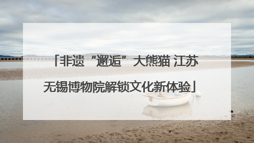 非遗“邂逅”大熊猫 江苏无锡博物院解锁文化新体验