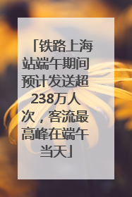 铁路上海站端午期间预计发送超238万人次，客流最高峰在端午当天