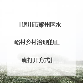 铜川市耀州区水峪村乡村治理的正确打开方式