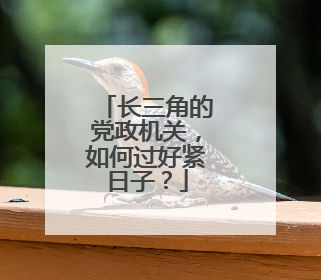 长三角的党政机关，如何过好紧日子？