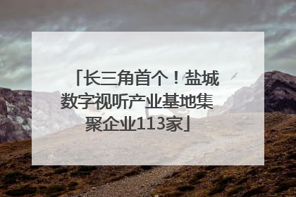长三角首个！盐城数字视听产业基地集聚企业113家