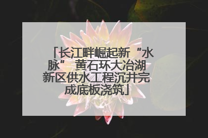 长江畔崛起新“水脉” 黄石环大冶湖新区供水工程沉井完成底板浇筑