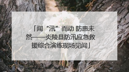 闻“汛”而动 防患未然——炎陵县防汛应急救援综合演练现场见闻